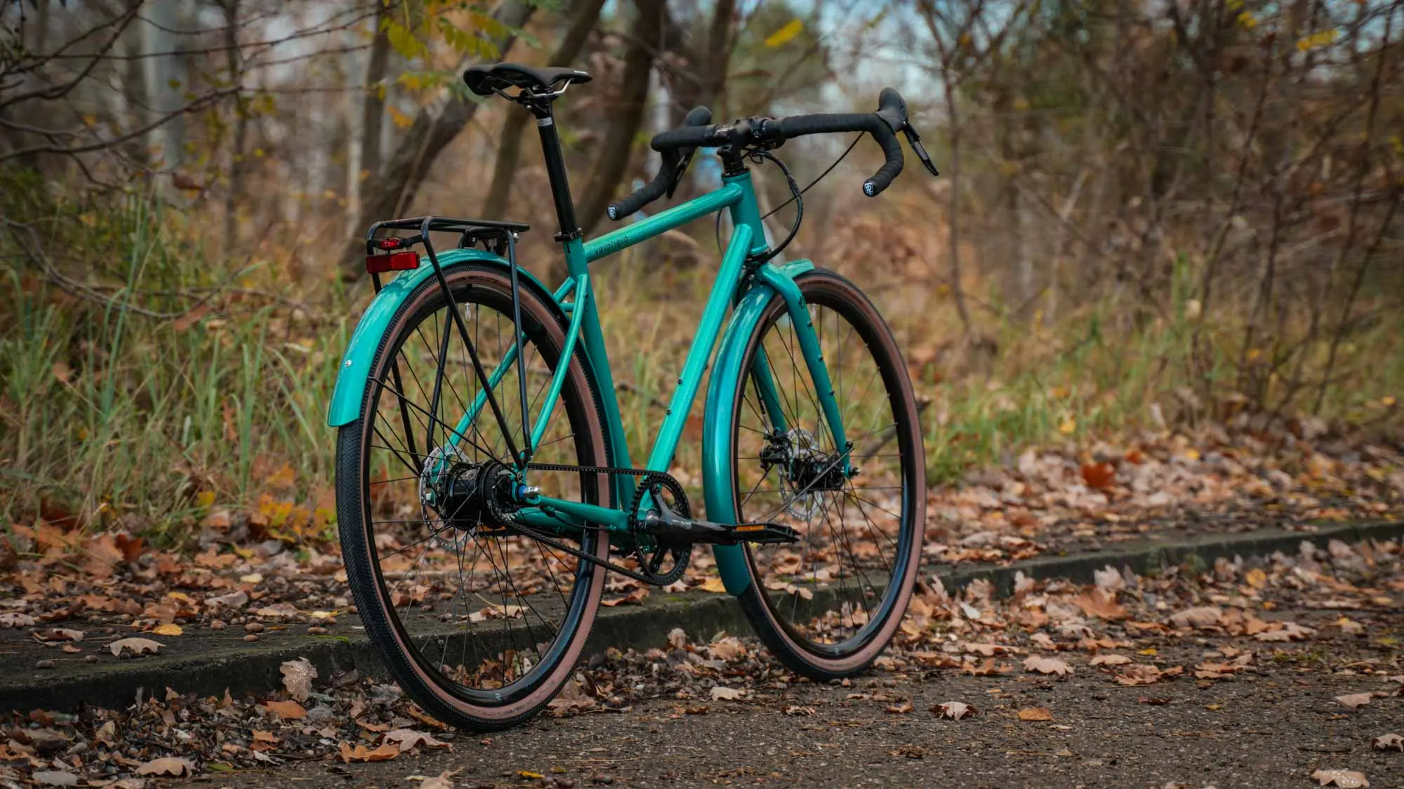 veloheld.alleyX in blue-green Complete view of the bike at the edge of the forest