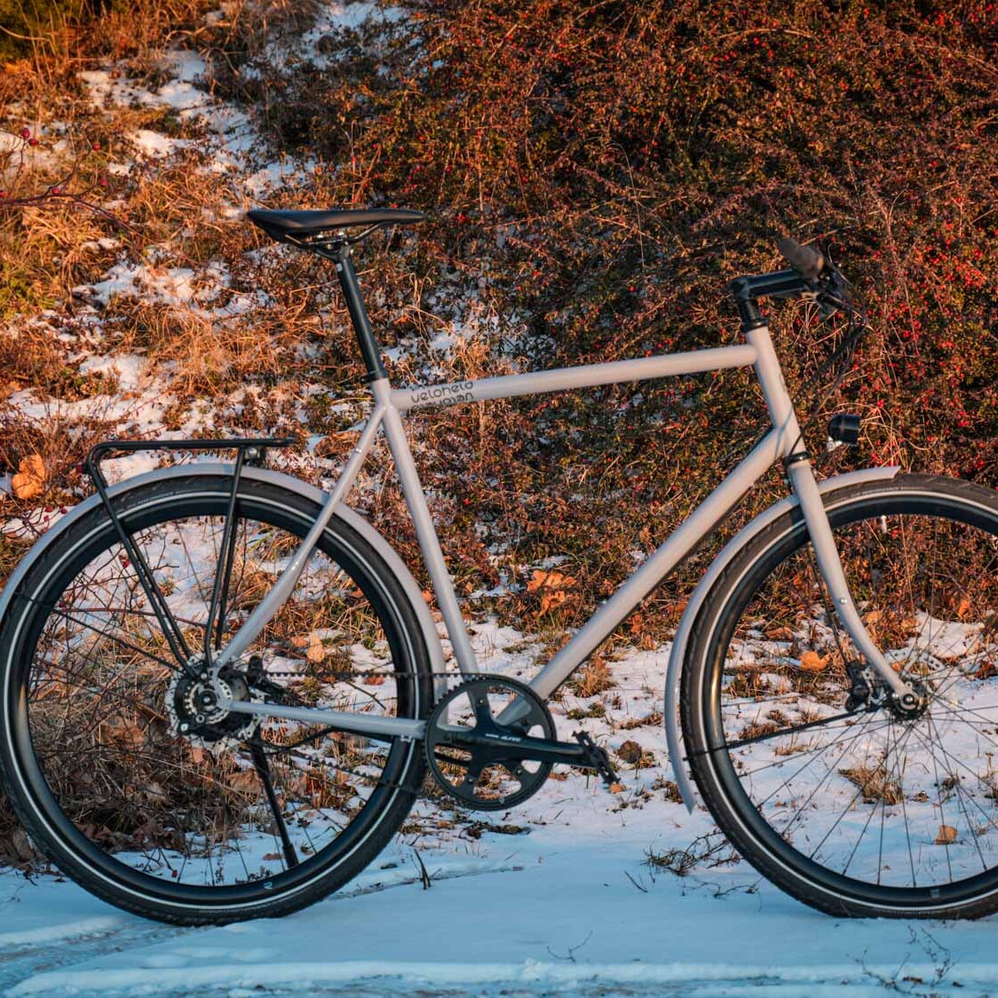 A gray veloheld.lane stands in the snow. Brown bushes can be seen in the background