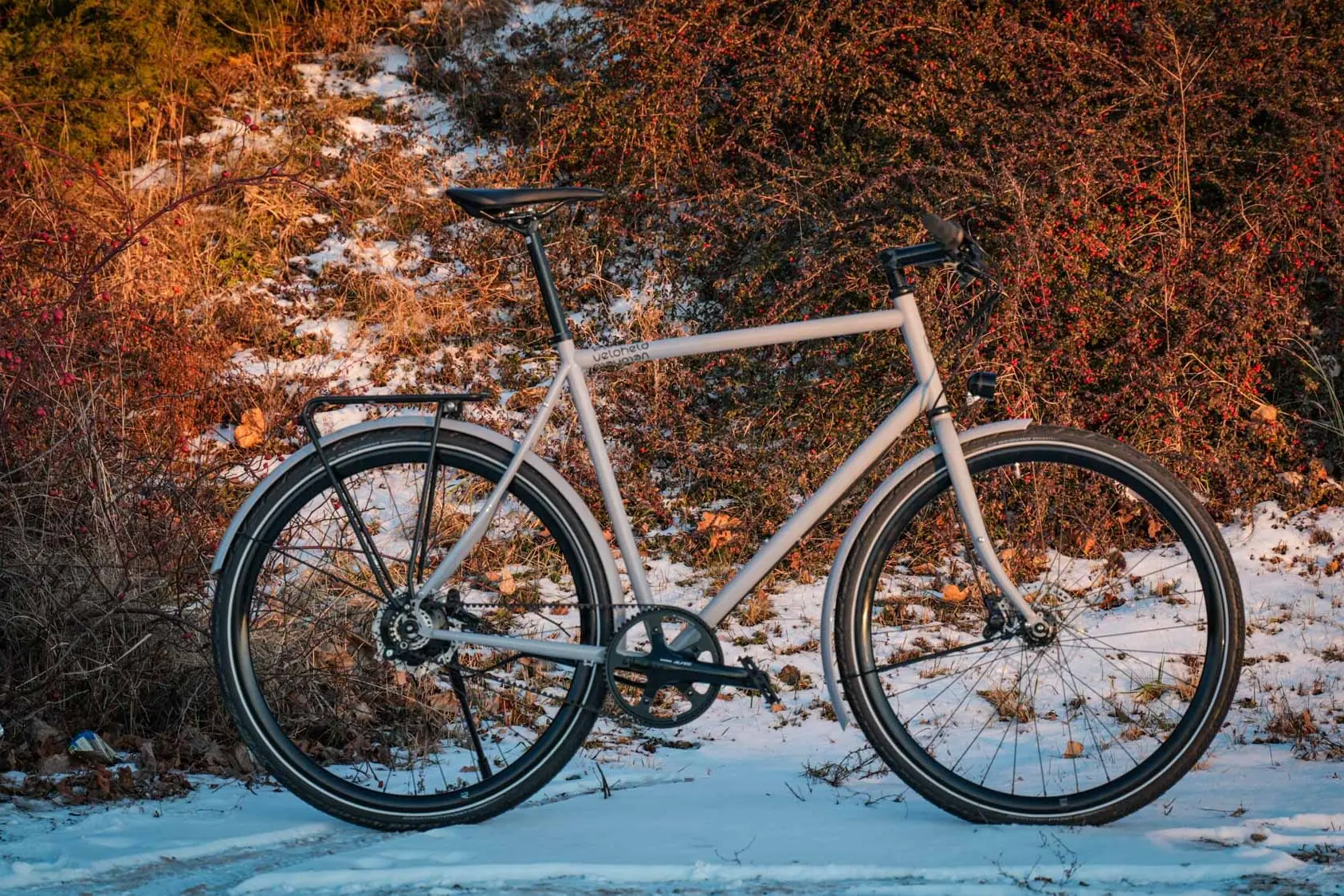 A gray veloheld.lane stands in the snow. Brown bushes can be seen in the background